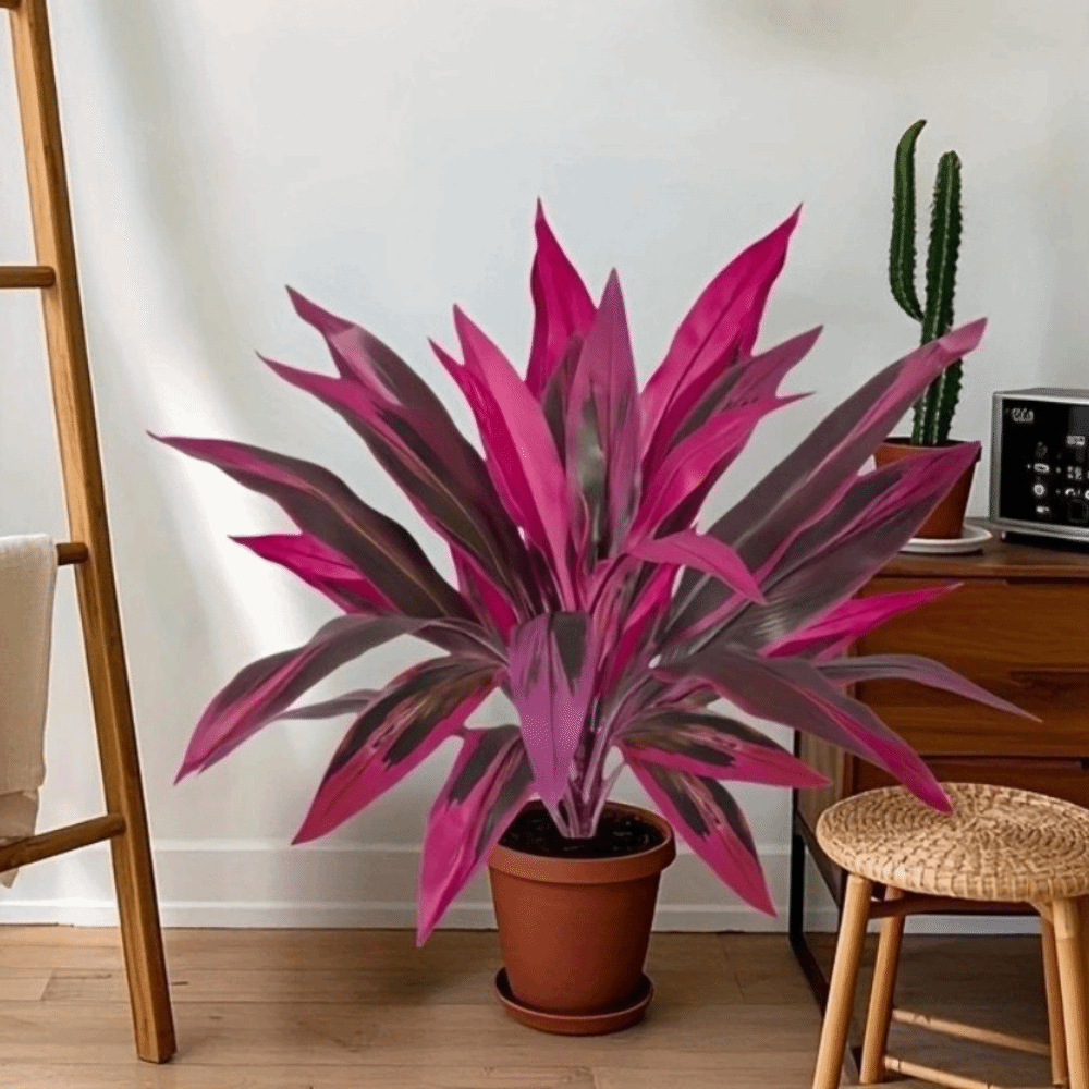 Árvore Artificial Dracaena de  - Artificial Hanging Plants avaliação e preço