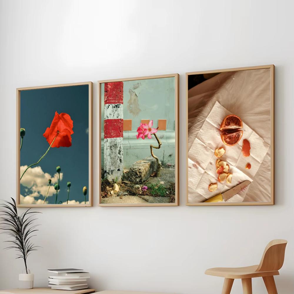 Estilo Japandi: Pintura e Cali - Home Decor Japandi Style avaliação e preço