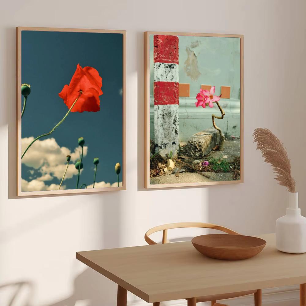 Estilo Japandi: Pintura e Cali - Home Decor Japandi Style avaliação e preço